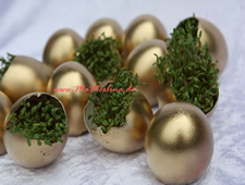 goldene Ostereier mit Kresse